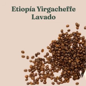 Etiopía Yirgacheffe Lavado